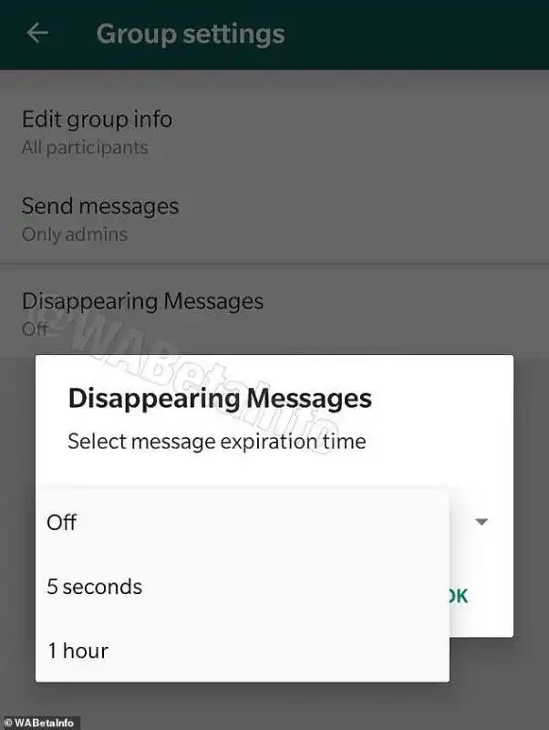 i messaggi che si autodistruggono presto su whatsapp