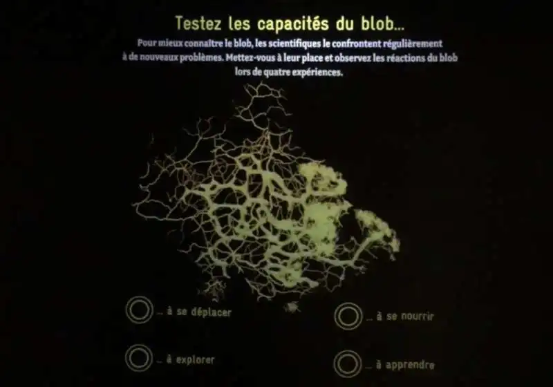 il misterioso blob dello zoo di parigi 5