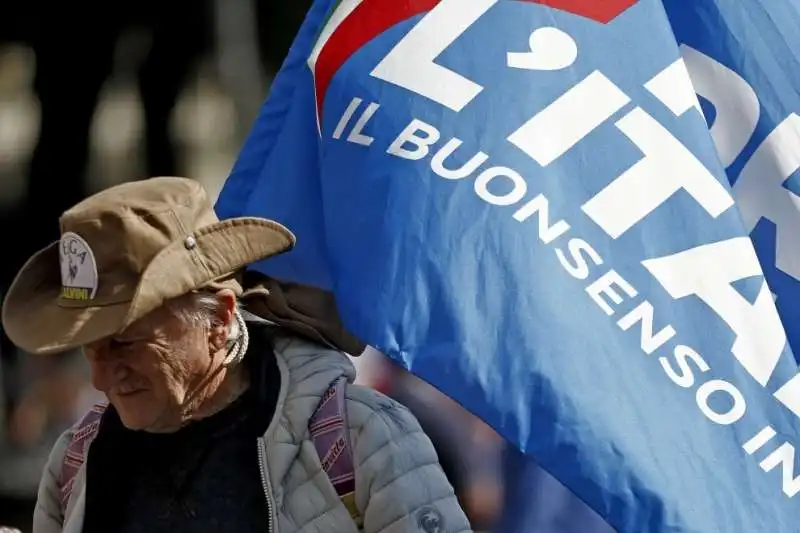 la manifestazione del centrodestra a piazza san giovanni    15