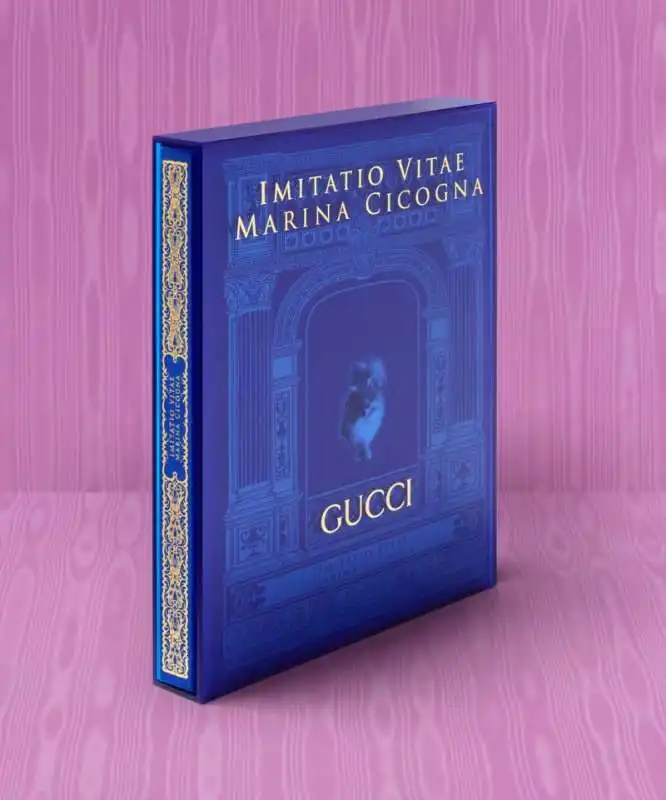 marina cicogna   imitatio vitae