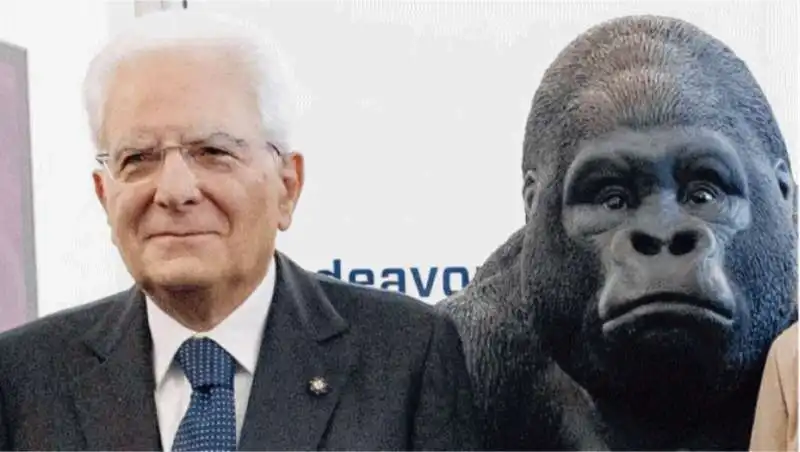 MATTARELLA IN VISITA ALLA START UP KONG 