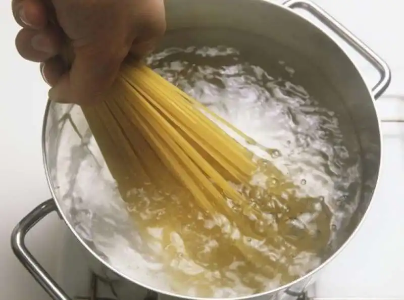 pasta