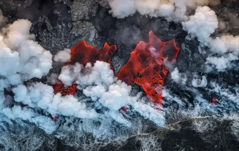 wildlife photographer of the year 2019 6