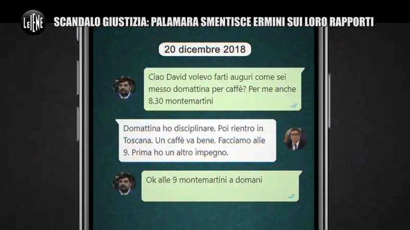 chat palamara  ermini da le iene