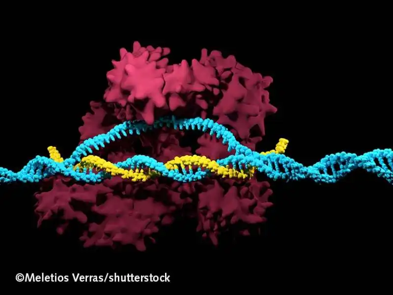 crispr cas9 1