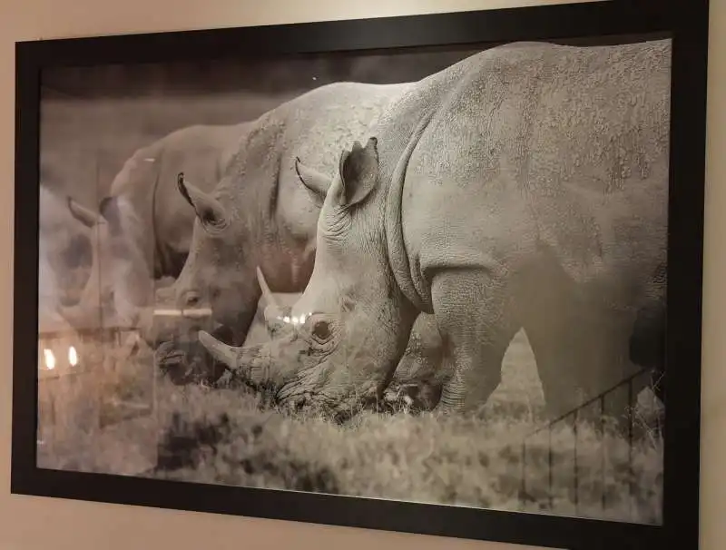 fotografie di marco simoni in esposizione (3)