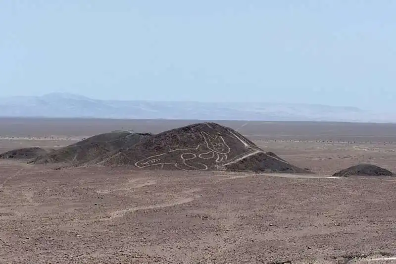 gatto linee di nazca 3