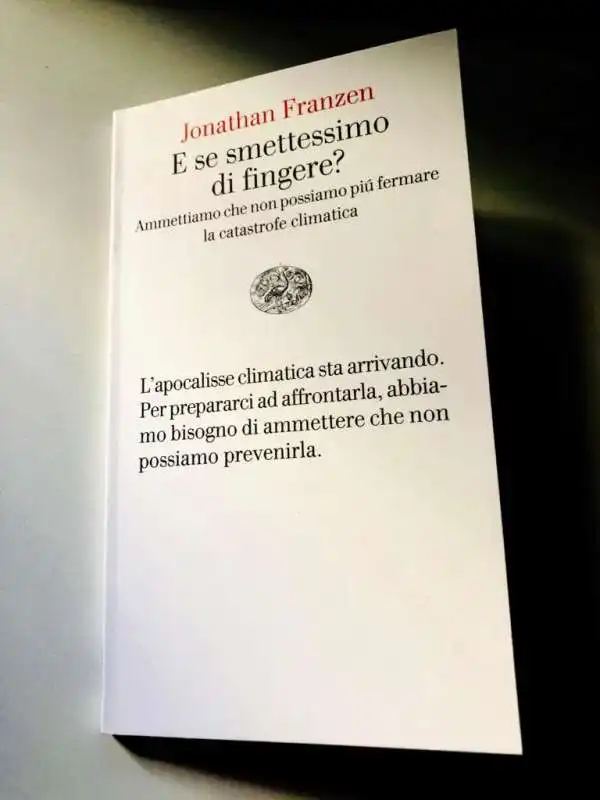 jonathan franzen e se smettessimo di fingere