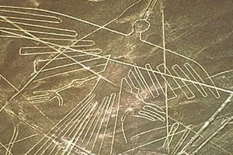 linee di nazca 2