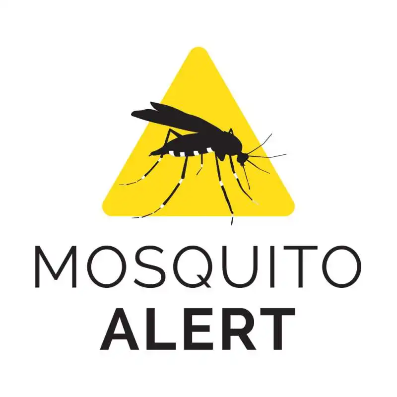 mosquito alert