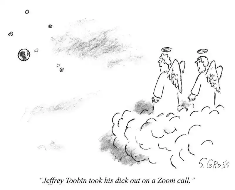 vignette del new yorker con didascalia 'jeffrey tobin ha tirato fuori il cazzo su zoom' 4