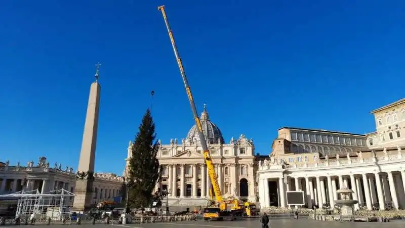 albero e presepe a san pietro 2