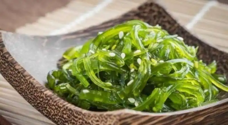 alga spirulina