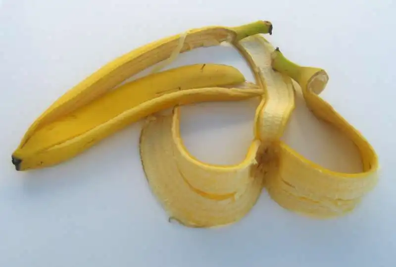 buccia di banana1