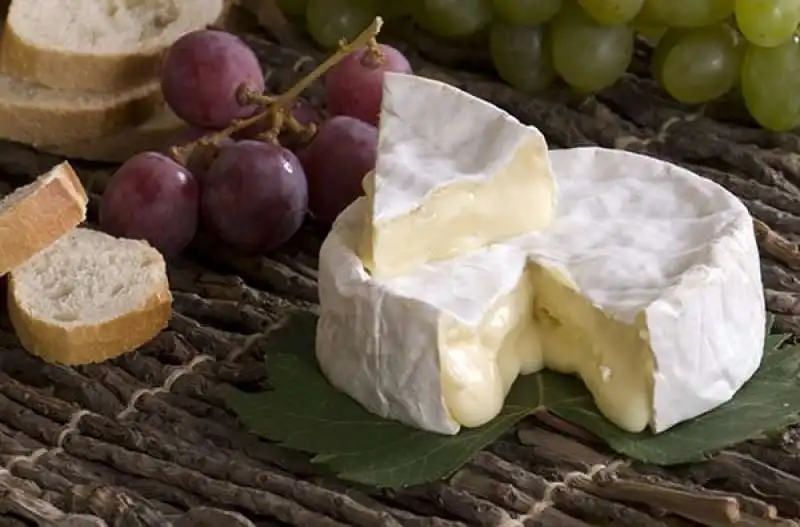 camembert 4