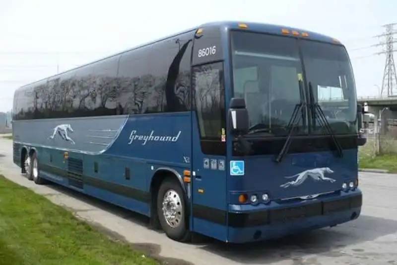 Greyhound Bus