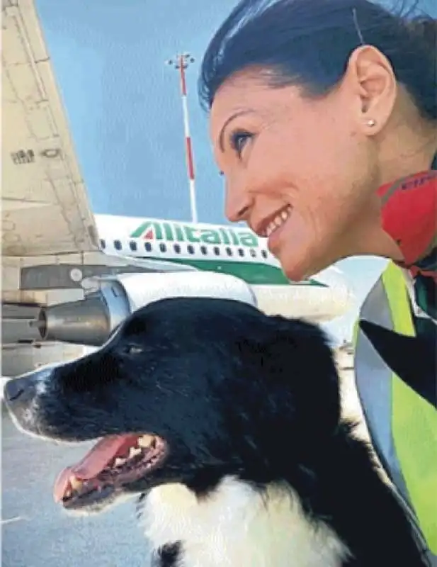 laura facchini hostess alitalia 3