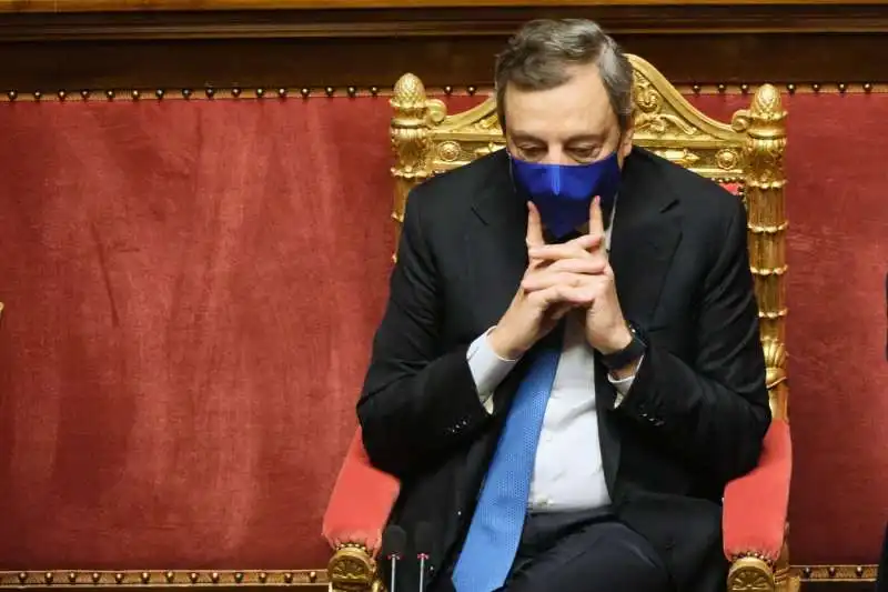 mario draghi al senato 2