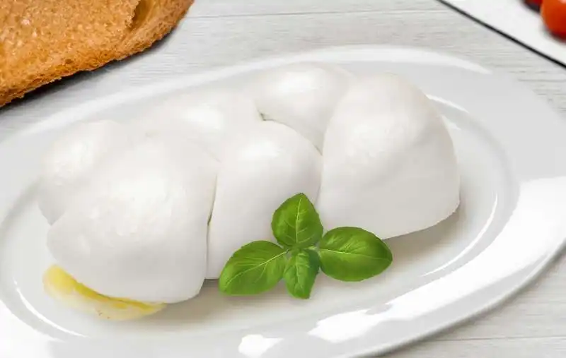 mozzarella 5