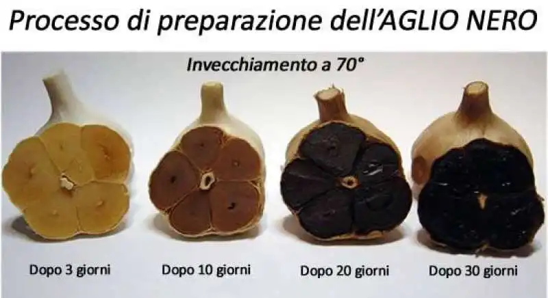 processo di preparazione dell aglio nero 