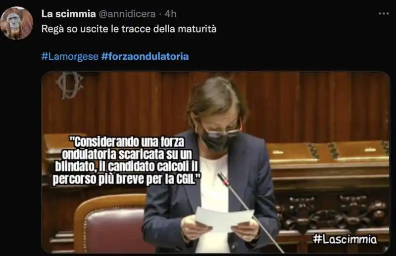 tweet e meme sulla forza ondulatoria di lamorgese   5