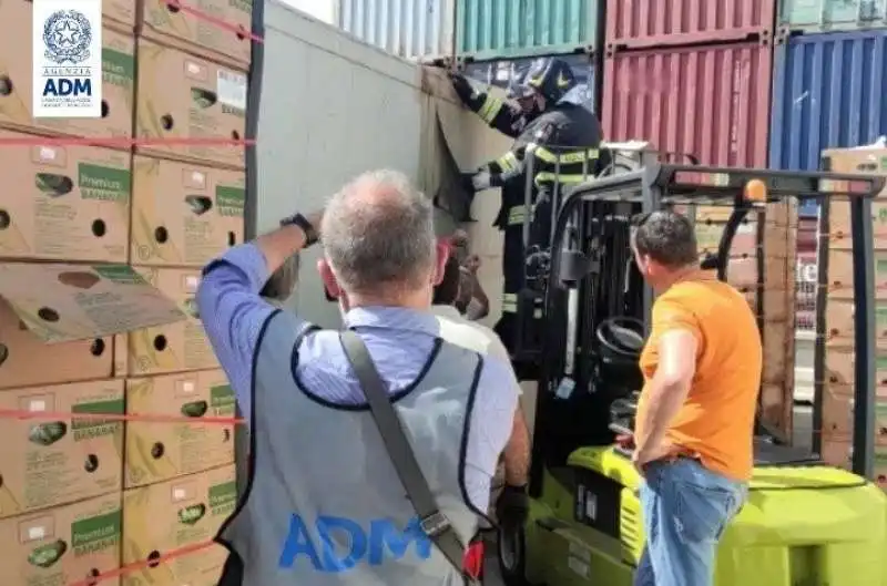 cocaina nei container di frutta a catania   2