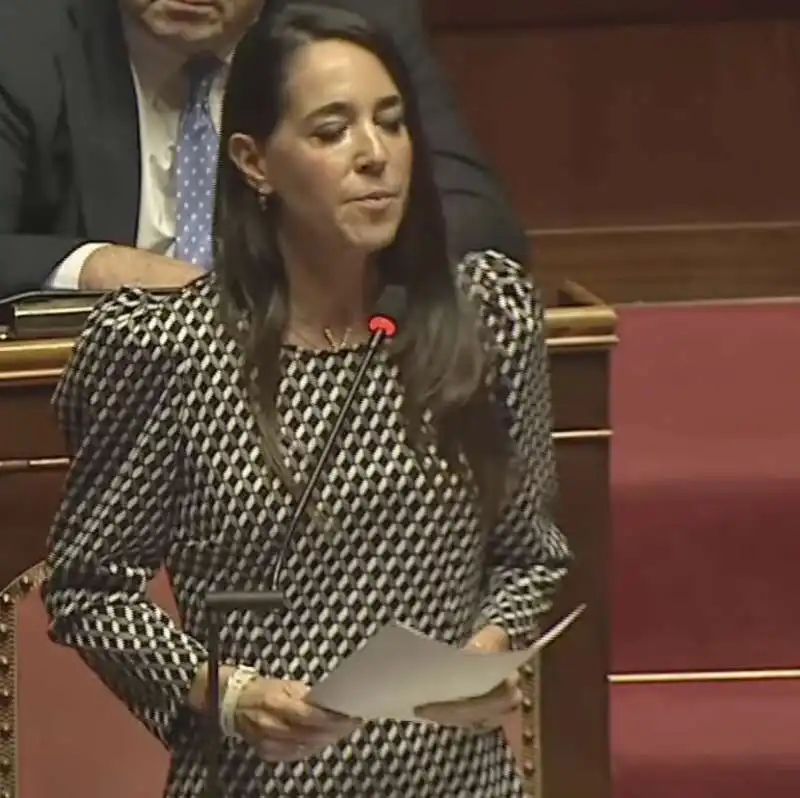 licia ronzulli al senato   6