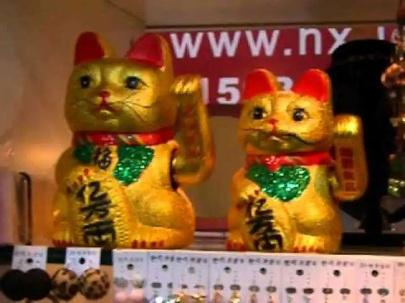 maneki neko 6