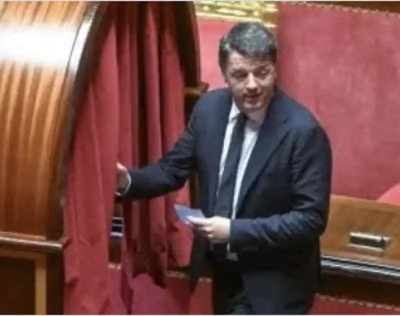 matteo renzi senato