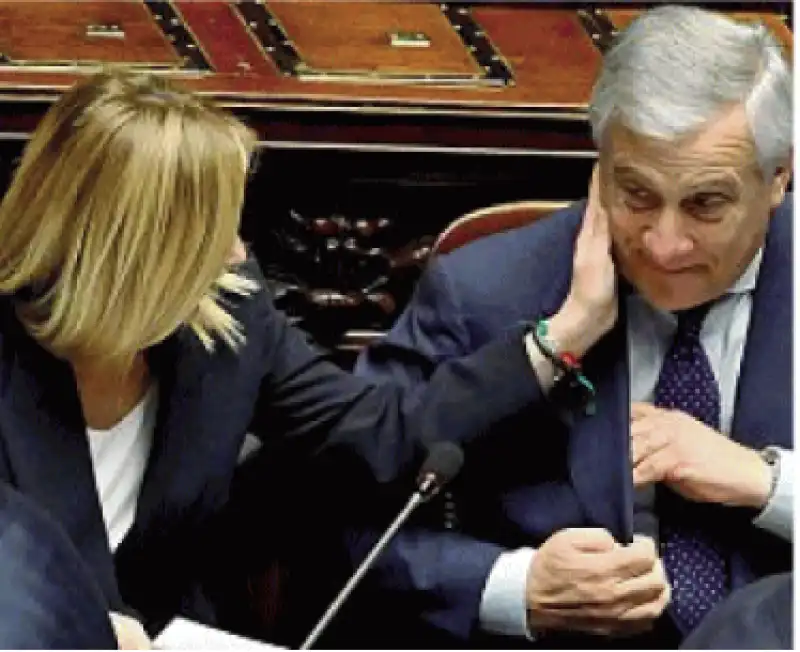 meloni tajani