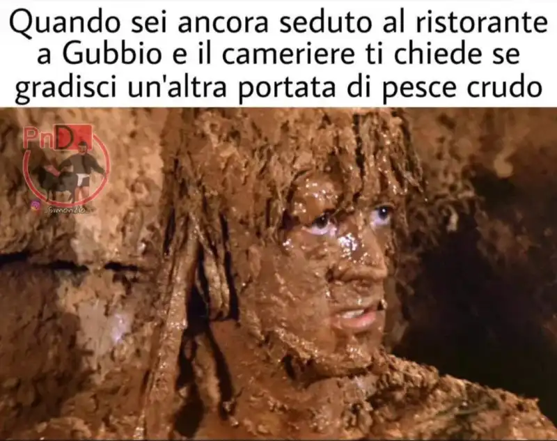 MEME SUL CASO DELLA CACARELLA A GUBBIO 