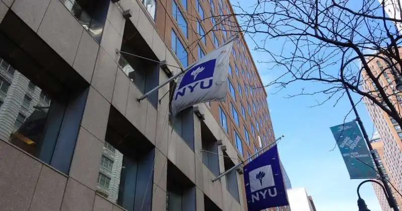 new york university 