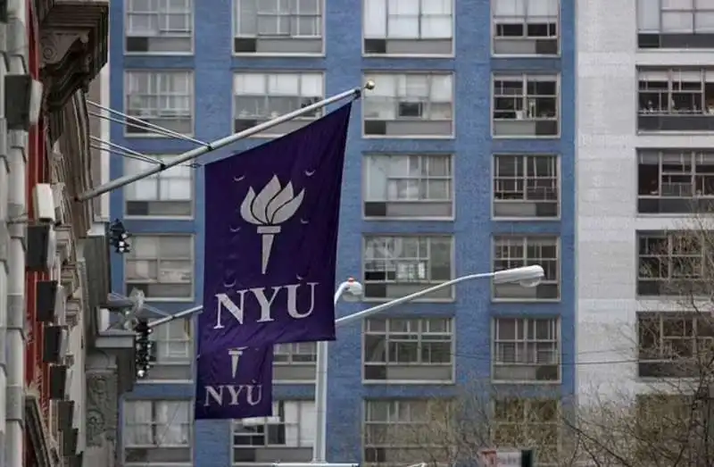 new york university