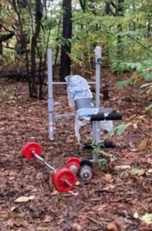 palestra nel bosco dello spaccio di varese 1