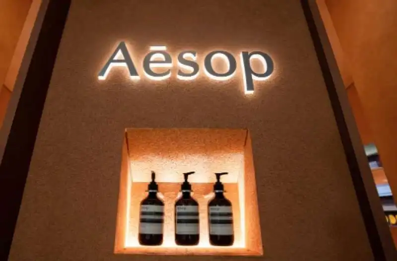  aesop 