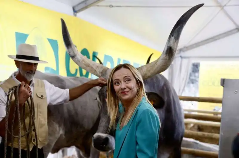 giorgia meloni al villaggio della coldiretti   1