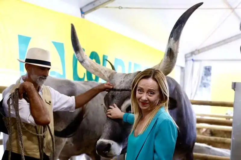 giorgia meloni al villaggio della coldiretti   2