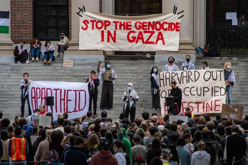 harvard - manifestazione pro palestina 