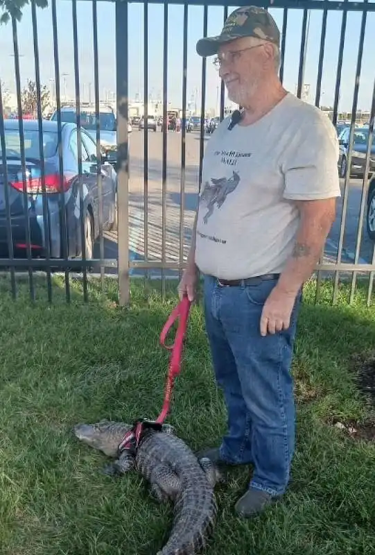 joie henney con il suo alligatore wally  fuori dallo stadio di philadelphia