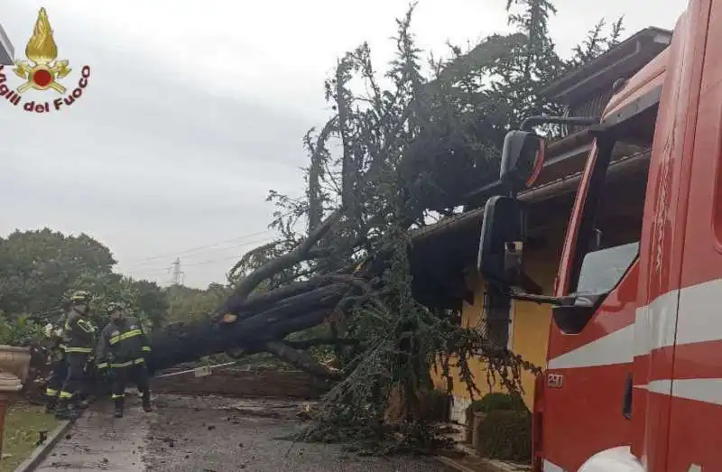 piove e roma si allaga   2