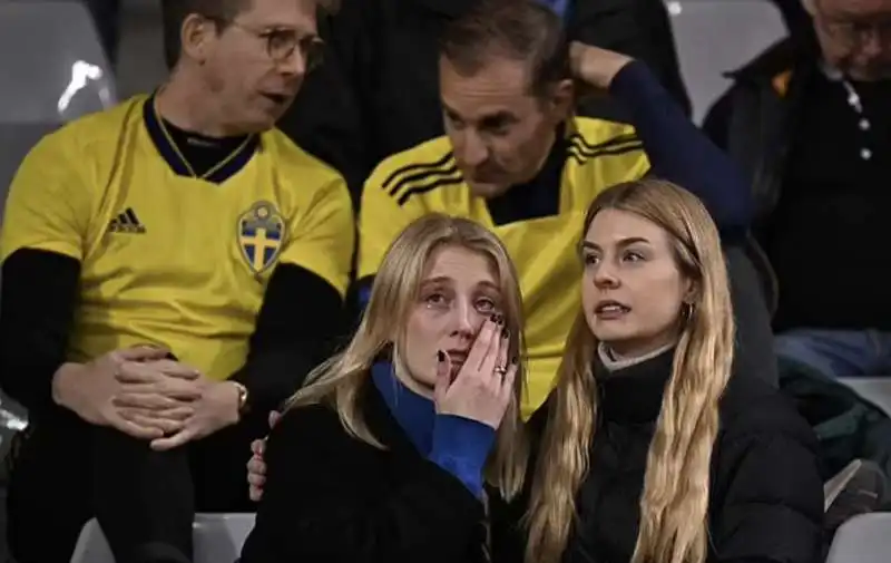 tifosi svedesi allo stadio re baldovino di bruxelles.  