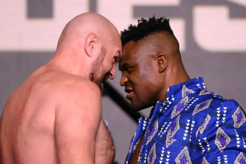 tyson fury francis ngannou 7