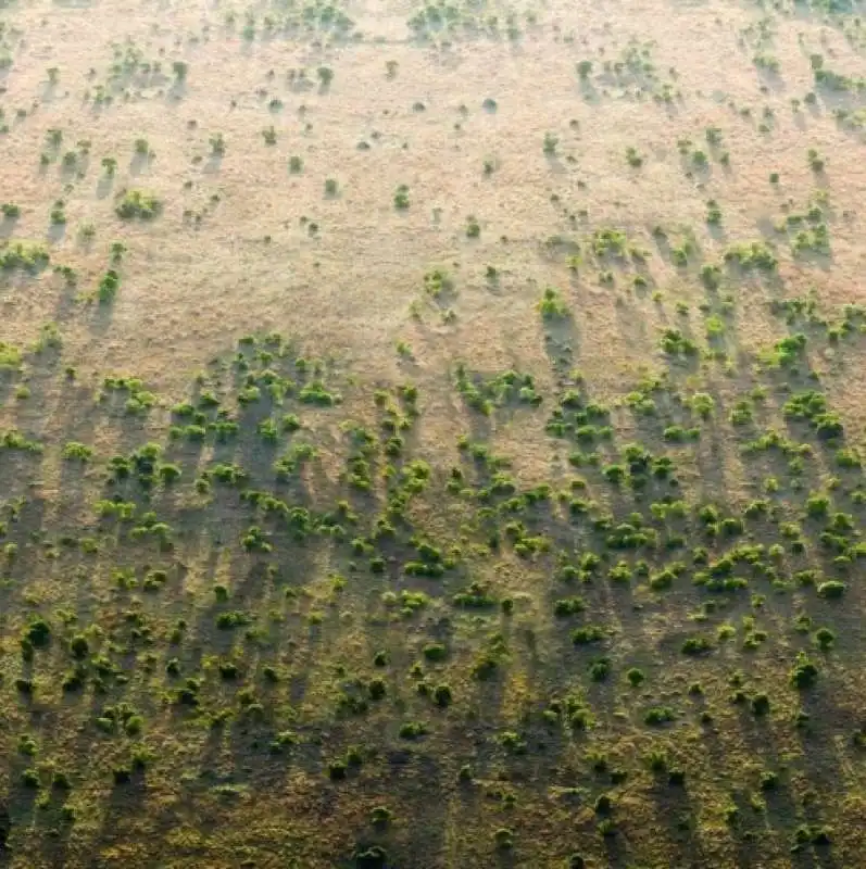 deserto del sahara verde 6