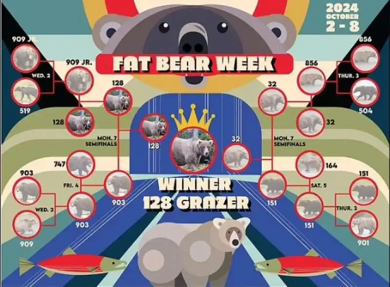 fat bear week