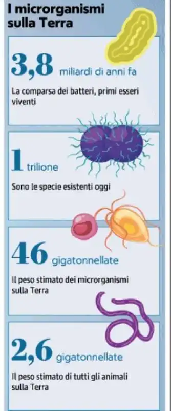 I MICRORGANISMI SULLA TERRA