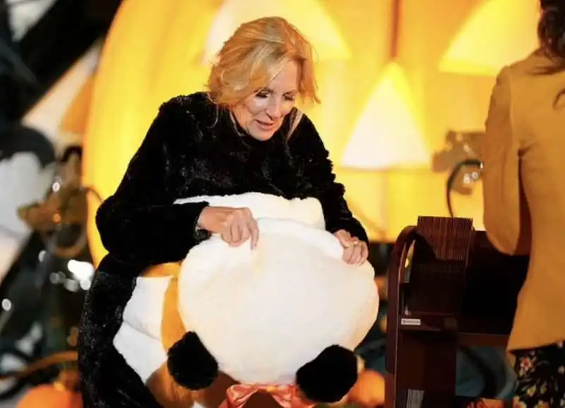 jill biden panda per halloween 2024