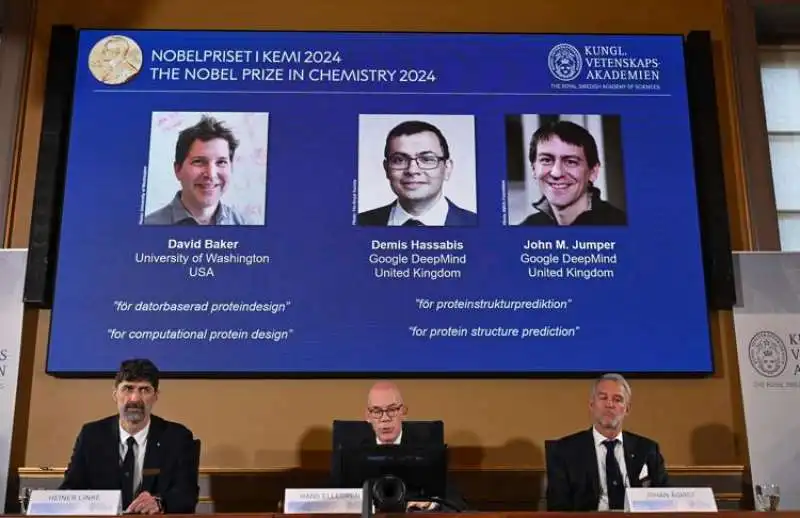 nobel chimica 2024 a david baker, damis hassabid e john m. jumper 