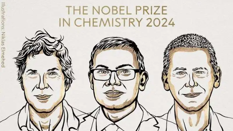 nobel chimica 2024 a david baker, damis hassabid e john m. jumper