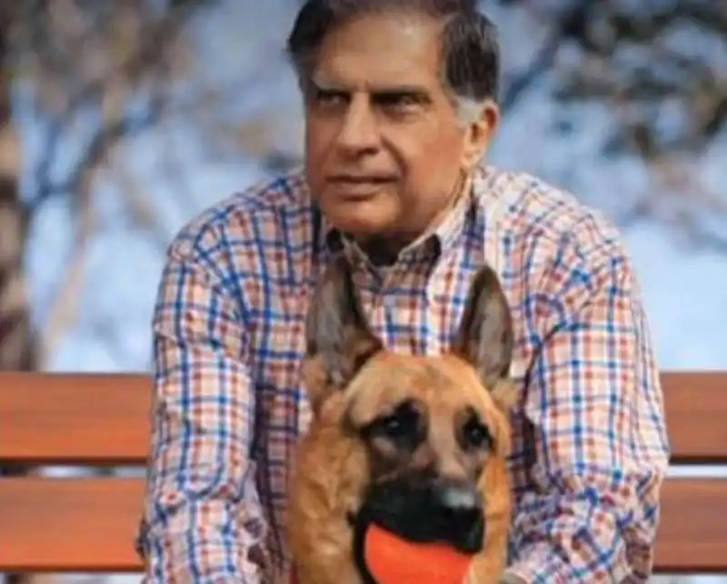 ratan tata  2