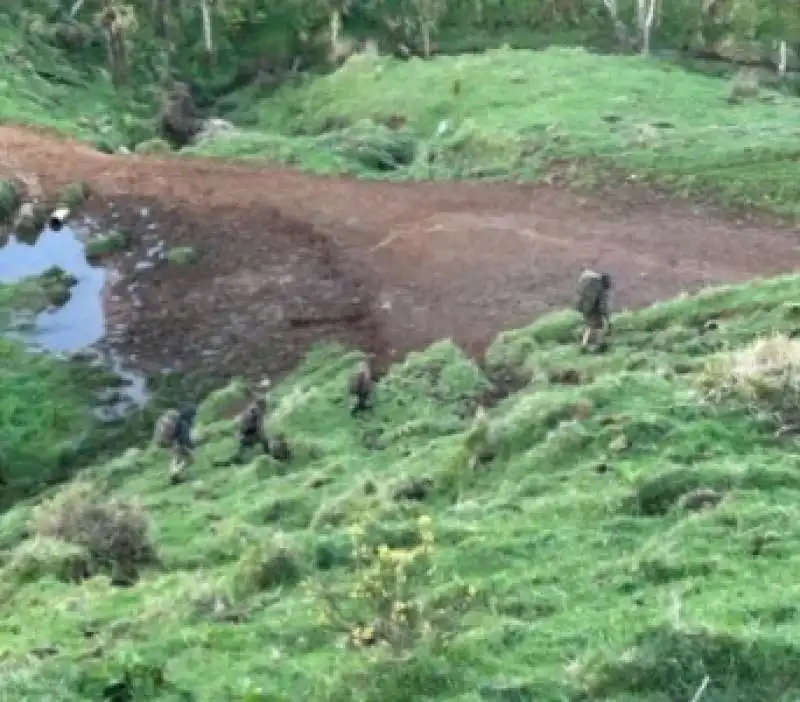 tom philips e i figli avvistati nei boschi della nuova zelanda 